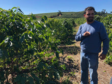 Load image into Gallery viewer, BARRA ESTATE, BRAZIL