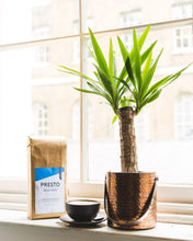 Load image into Gallery viewer, House Decaffeinated Blend - Beans 1KG