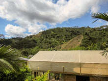 Load image into Gallery viewer, Seasonal Decaf