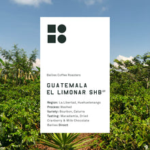 Load image into Gallery viewer, Guatemala El Limonar Strictly HB