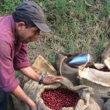 Load image into Gallery viewer, El Salvador | Ayutepeque