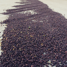 Load image into Gallery viewer, El Salvador | Ayutepeque