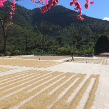 Load image into Gallery viewer, El Salvador | Ayutepeque