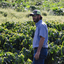 Load image into Gallery viewer, El Salvador | Ayutepeque