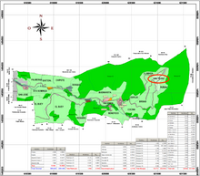Load image into Gallery viewer, Pineapple Candy (F1 Hybrid H3) - Finca San Pedro, Nicaragua