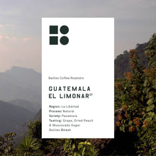 Load image into Gallery viewer, Guatemala El Limonar Pacamara Microlot