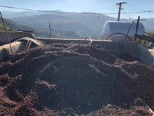 Load image into Gallery viewer, China Lafu #4