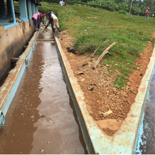 Load image into Gallery viewer, Karimikui AA | Kenya