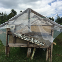 Load image into Gallery viewer, Karimikui AA | Kenya