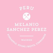 Load image into Gallery viewer, Melanio Sanchez Perez