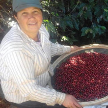 Load image into Gallery viewer, Balanced All Day Coffee Beans