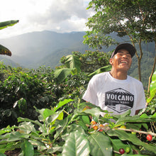 Load image into Gallery viewer, The Mount Blend