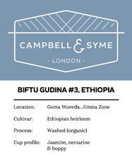 Load image into Gallery viewer, BIFTU GUDINA #3, EHIOPIA