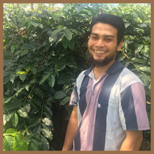 Load image into Gallery viewer, Sumatra - Bener Meriah