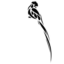 Load image into Gallery viewer, Guatemala | Finca Villaure