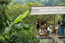 Load image into Gallery viewer, LA ROSA, COLOMBIA