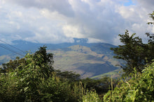 Load image into Gallery viewer, NELSON MEJIA CORDOVO, PERU