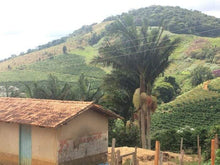 Load image into Gallery viewer, Brazil - Sitio Gamelao Natural