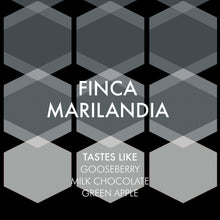 Load image into Gallery viewer, Finca Marilandia - Guatemala
