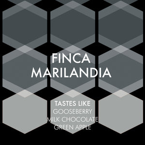 Finca Marilandia - Guatemala