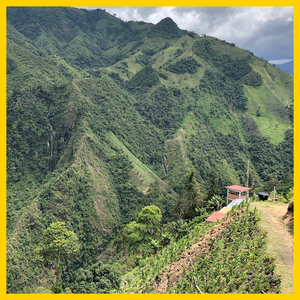 Colombia - Monte Bonito