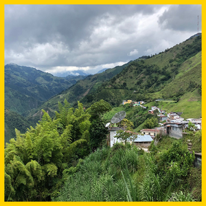 Colombia - Monte Bonito