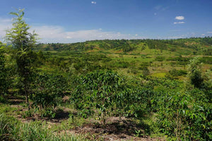 RUHINGA, BURUNDI