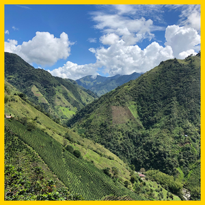 Colombia - Monte Bonito