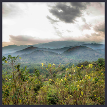 Load image into Gallery viewer, Uganda - Rwenzori Natural
