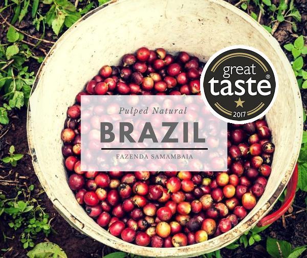 ANVIL Brazil Fazenda Samambaia 1* Star Great Taste Award Winner 2017