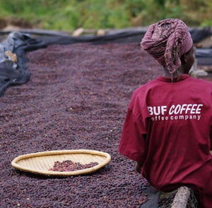 ANVIL Rwanda - BUF Remera - Micro Lot - Limited Availability