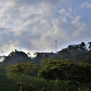 Alto del Obispo, Colombia