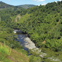 Load image into Gallery viewer, Alto del Obispo, Colombia
