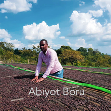 Load image into Gallery viewer, Ethiopia Natural (Organic) | Bobea Uke
