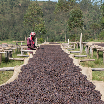 Burundi - Malidadi