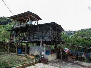 Colombia (Jan)