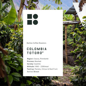 Colombia Totoro Microlot