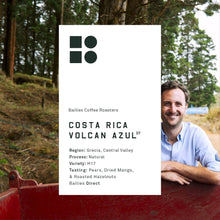 Load image into Gallery viewer, Costa Rica Volcan Azul H17 Microlot
