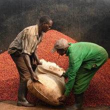 Load image into Gallery viewer, Kenya Ndaroini # 10 &lt;br&gt;Green Coffee Beans
