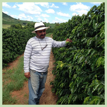 Load image into Gallery viewer, Arabica Decaf - Brazil
