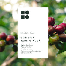 Load image into Gallery viewer, Ethiopia Yabitu Koba Microlot
