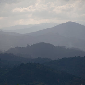 Rwanda - Gitega Hills 141