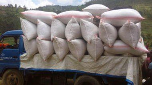 Rwanda | Rusiga + Mbogo Farm