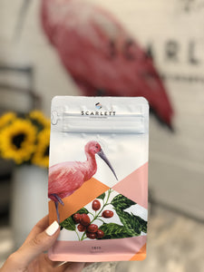 Ibis- Guatemala (Microlot)