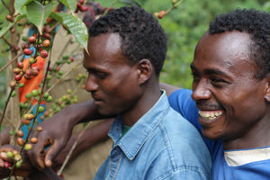 Ethiopia Kayon Mountain