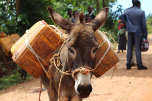 Ethiopia Kayon Mountain