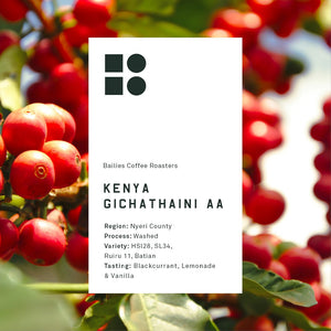 Kenya Gichathaini AA Microlot