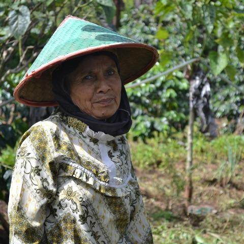 Indonesia Kerinci