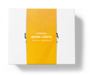 Bensa Logita