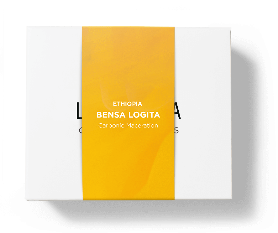 Bensa Logita